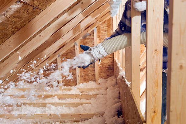 Best Insulation Air Sealing in Woodlawn Beach, FL